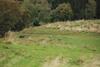 2009-10-03_ntb_9722
