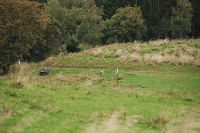 2009-10-03_ntb_9722