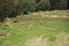 2009-10-03_ntb_9723