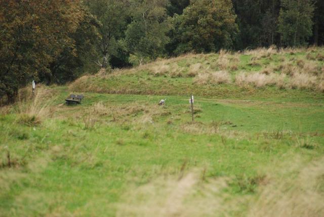 2009-10-03_ntb_9723