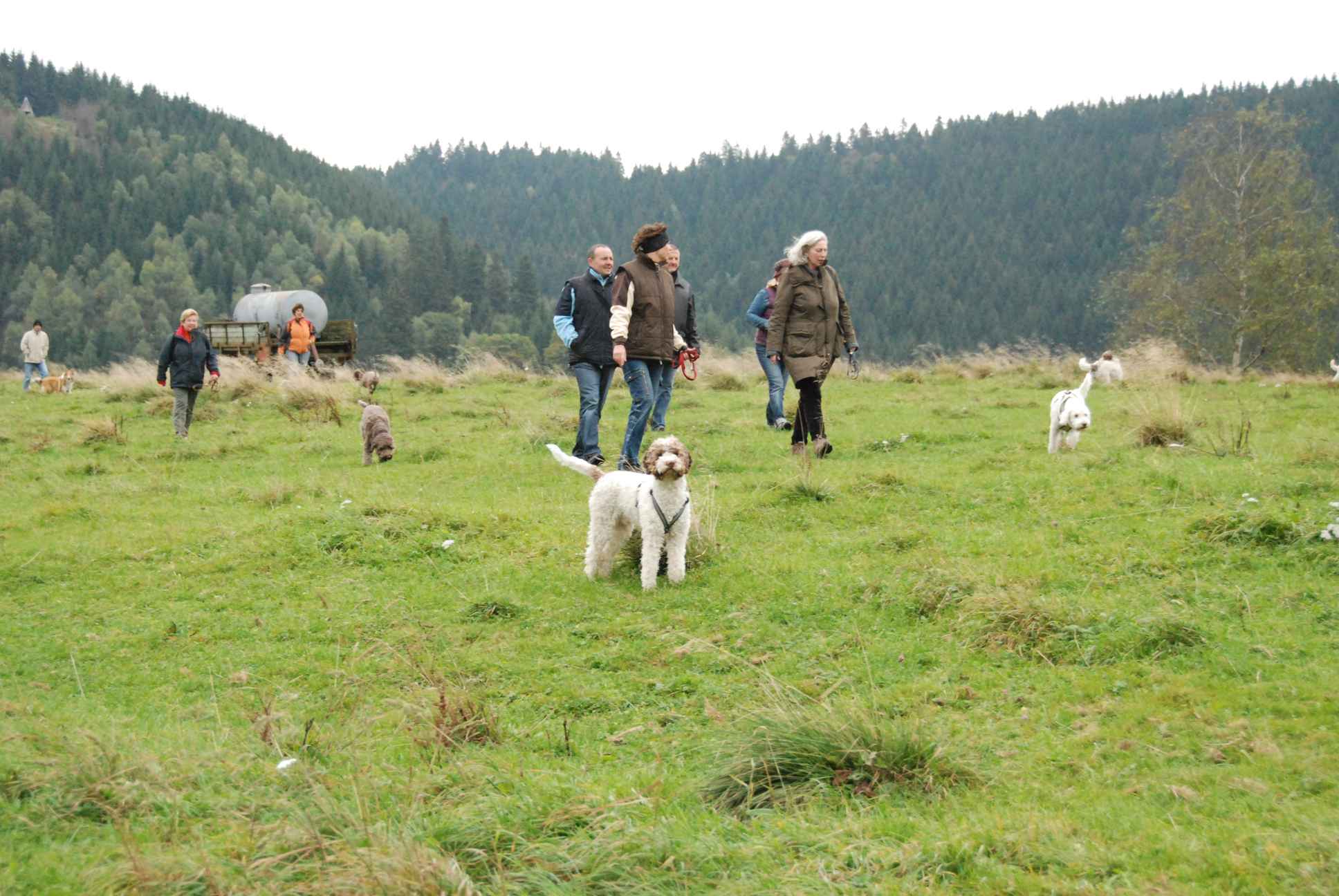 2009-10-03_ntb_9726
