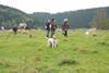 2009-10-03_ntb_9726