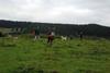 2009-10-03_ntb_9727
