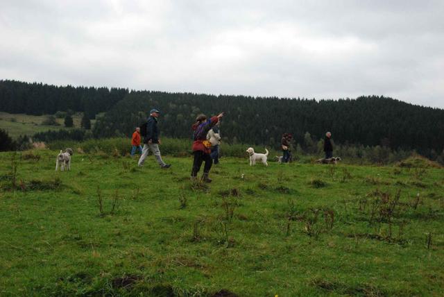 2009-10-03_ntb_9727