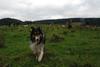 2009-10-03_ntb_9728