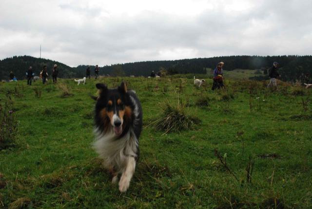 2009-10-03_ntb_9728
