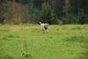 2009-10-03_ntb_9729
