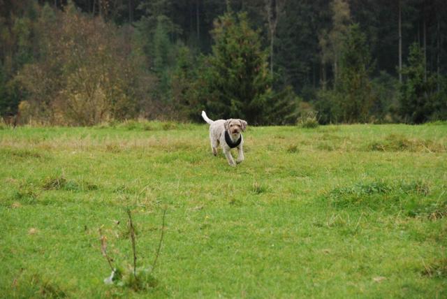 2009-10-03_ntb_9729