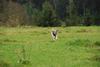 2009-10-03_ntb_9730