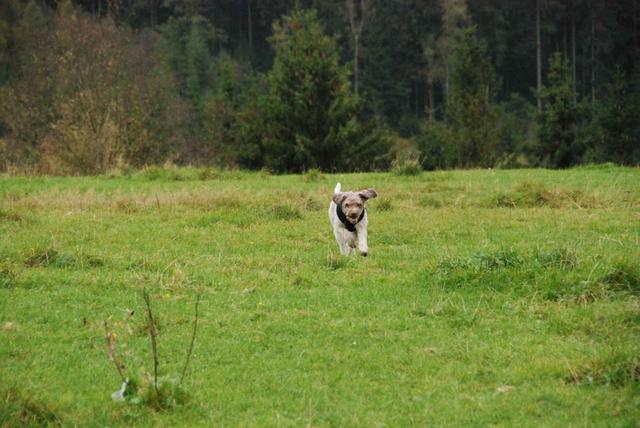 2009-10-03_ntb_9730