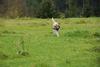 2009-10-03_ntb_9731