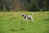 2009-10-03_ntb_9732