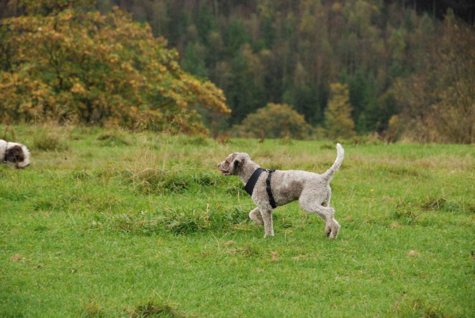 2009-10-03_ntb_9733