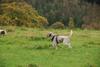 2009-10-03_ntb_9733