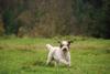 2009-10-03_ntb_9734