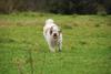 2009-10-03_ntb_9735