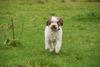 2009-10-03_ntb_9737