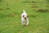 2009-10-03_ntb_9739