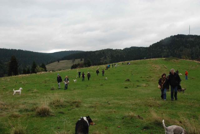 2009-10-03_ntb_9741