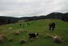 2009-10-03_ntb_9742
