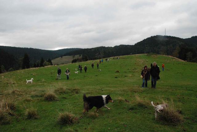 2009-10-03_ntb_9742