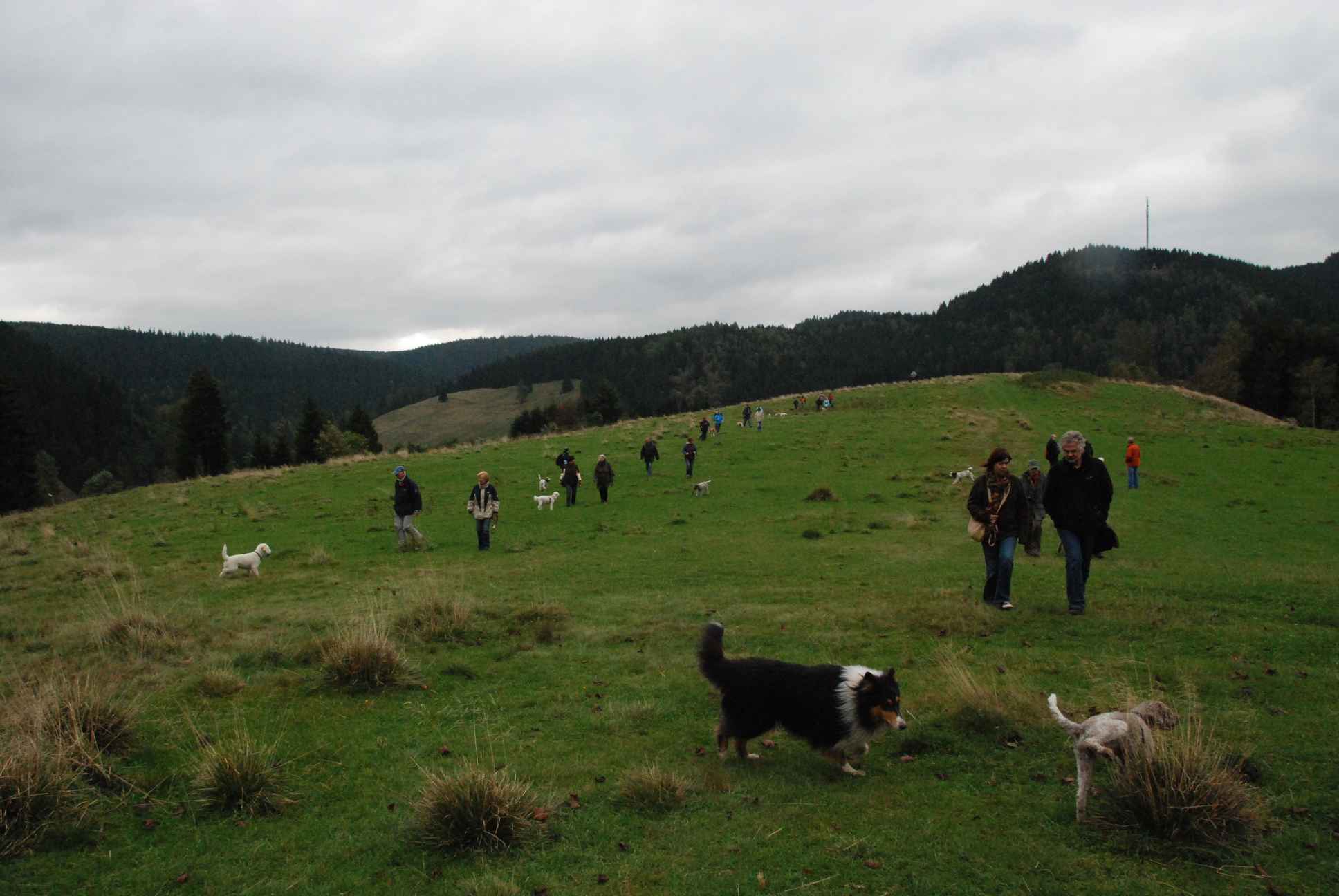 2009-10-03_ntb_9743
