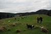 2009-10-03_ntb_9743