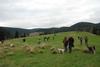 2009-10-03_ntb_9744