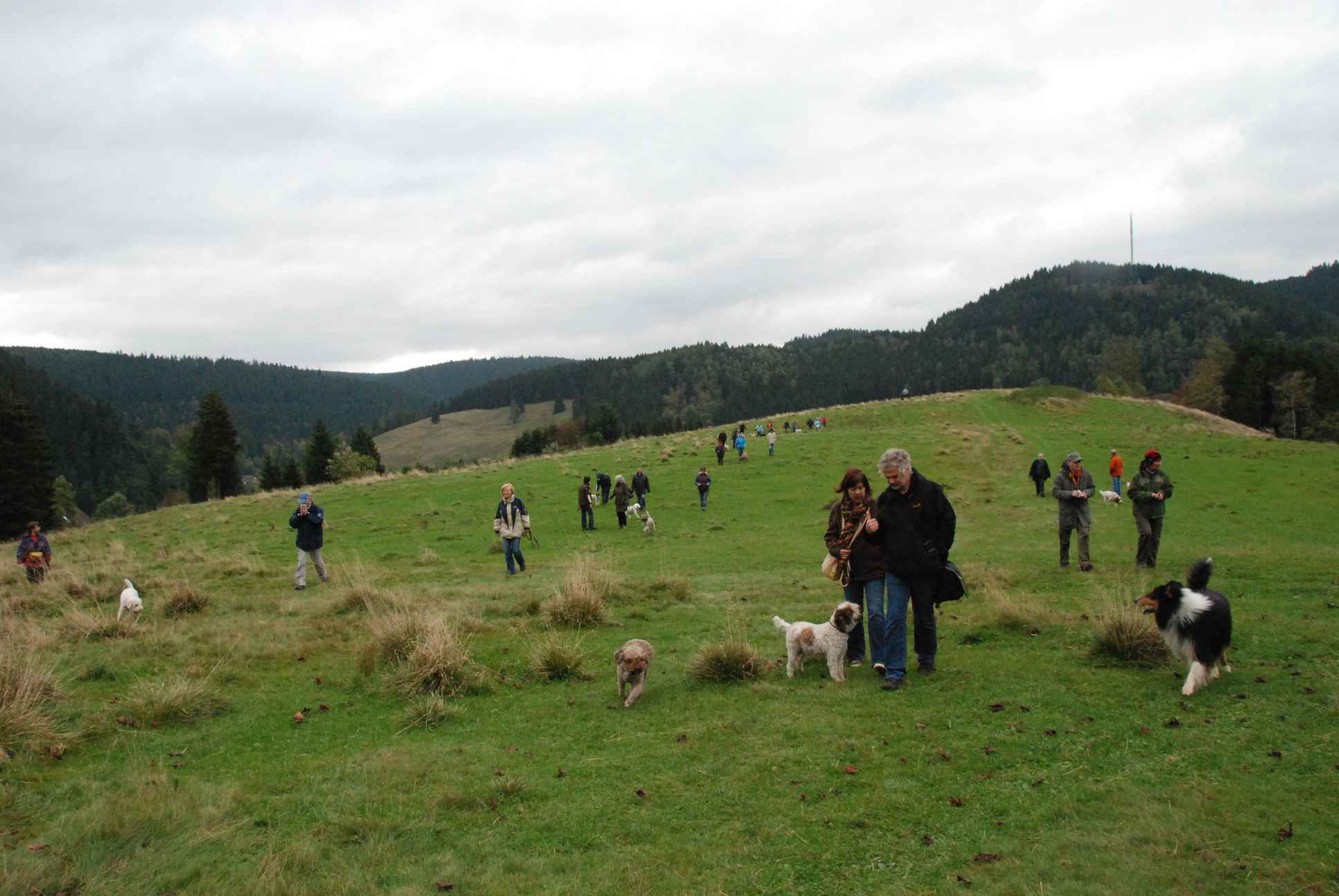 2009-10-03_ntb_9745