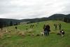 2009-10-03_ntb_9745