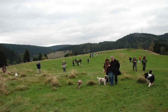 2009-10-03_ntb_9745
