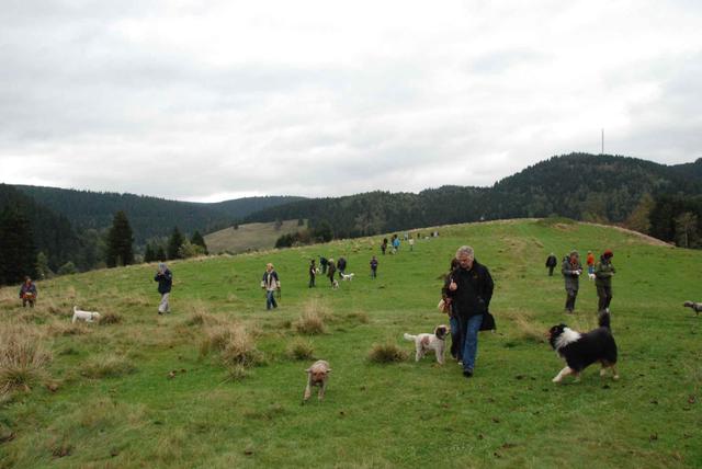 2009-10-03_ntb_9746