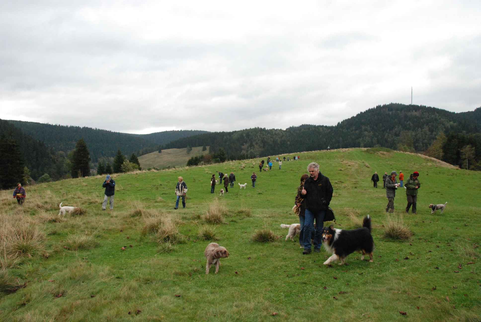 2009-10-03_ntb_9747