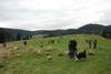 2009-10-03_ntb_9747