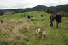 2009-10-03_ntb_9748