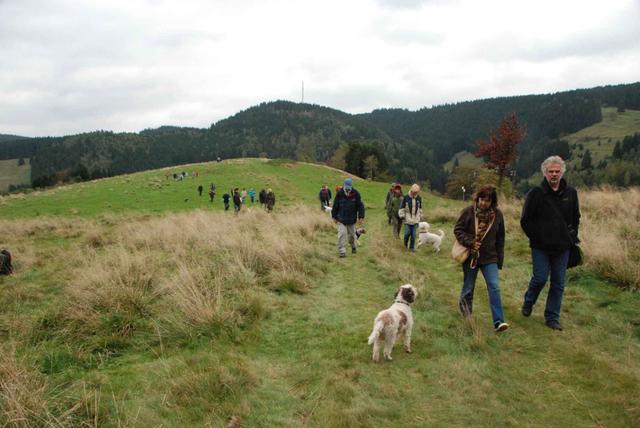 2009-10-03_ntb_9749