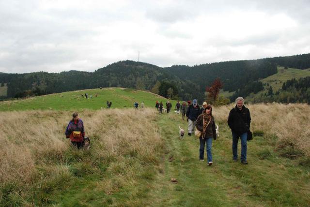 2009-10-03_ntb_9750