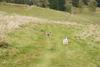 2009-10-03_ntb_9751