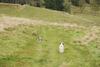2009-10-03_ntb_9752