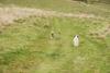 2009-10-03_ntb_9753