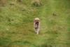 2009-10-03_ntb_9754