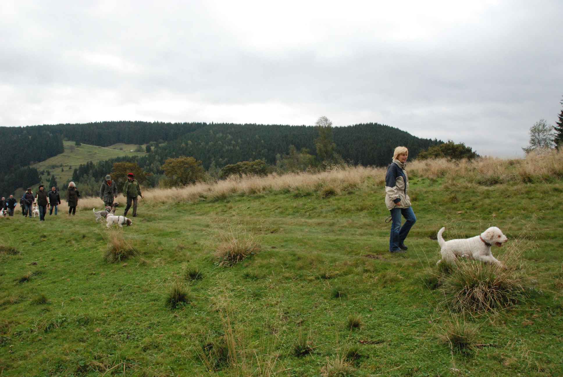 2009-10-03_ntb_9755