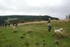 2009-10-03_ntb_9755