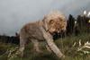 2009-10-03_ntb_9757