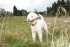 2009-10-03_ntb_9759