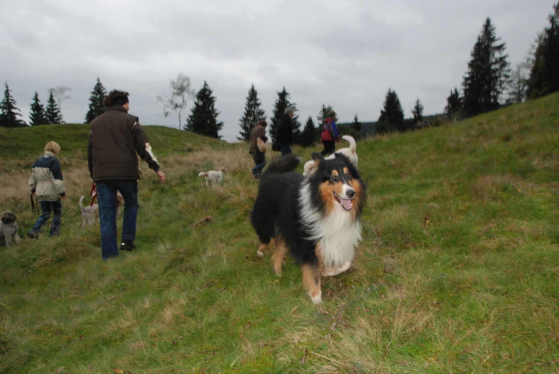 2009-10-03_ntb_9761