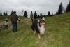 2009-10-03_ntb_9761