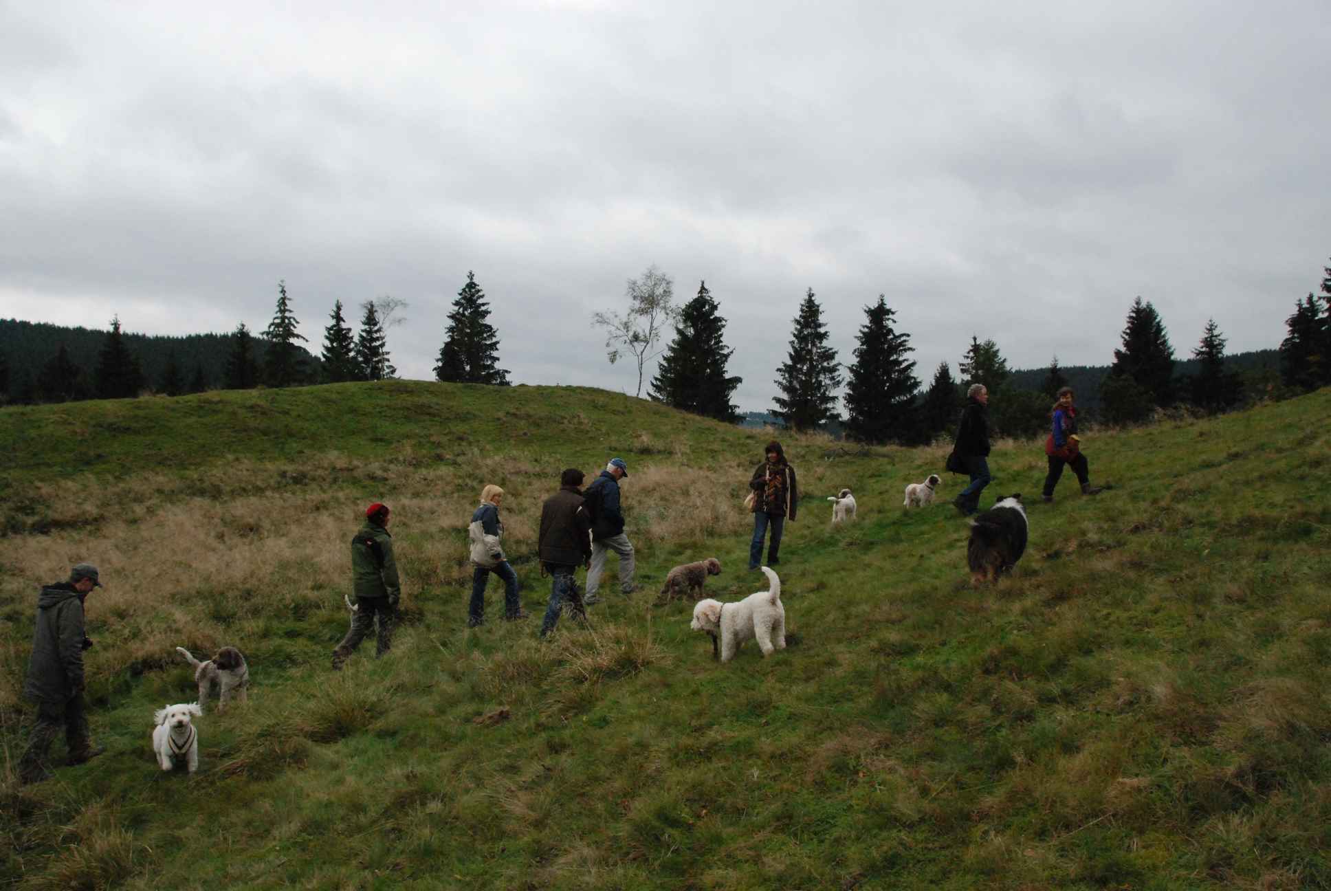 2009-10-03_ntb_9762