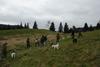 2009-10-03_ntb_9762