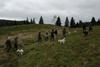 2009-10-03_ntb_9763
